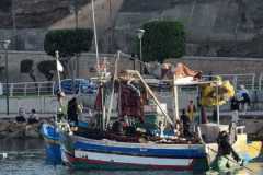 IMG-20241119-WA0040