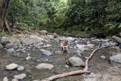 IMG-20250414-WA0085