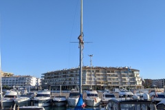 PXL_20241005_161528301