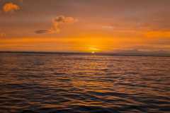 IMG-20250310-WA0045