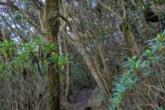 IMG-20250106-WA0059