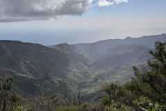 IMG-20250106-WA0061