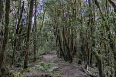 IMG-20250106-WA0072