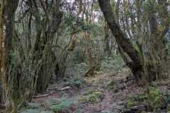 IMG-20250106-WA0073