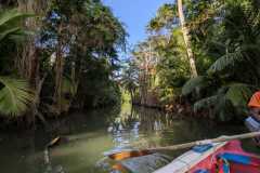 IMG-20250328-WA0055