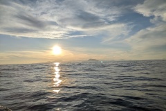 PXL_20241110_160949952.MP_