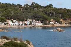 IMG-20241102-WA0030