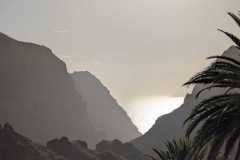 IMG-20241227-WA0010