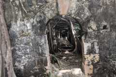IMG-20250414-WA0014