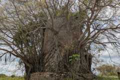 IMG-20250414-WA0016