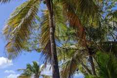 IMG-20250203-WA0027