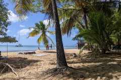 IMG-20250203-WA0028