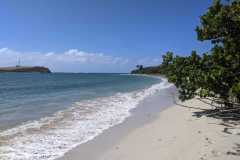 IMG-20250205-WA0028