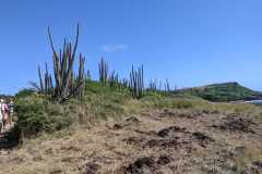 IMG-20250205-WA0032