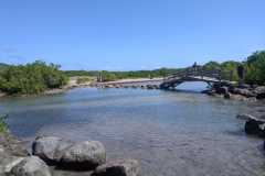 IMG-20250205-WA0033