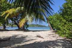 IMG-20250205-WA0034