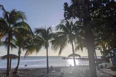 IMG-20250205-WA0037
