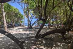 IMG-20250205-WA0038