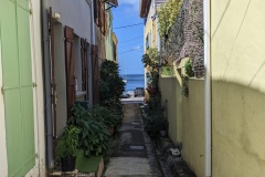 PXL_20250212_151612110