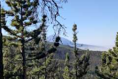 IMG-20241227-WA0033