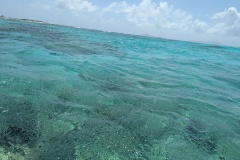PXL_20250226_162252547