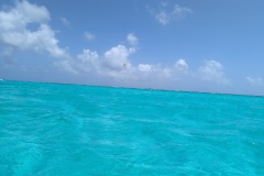 PXL_20250226_162545724