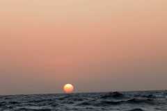 IMG-20250106-WA0035