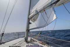 IMG-20250106-WA0036