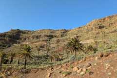 IMG-20250106-WA0054