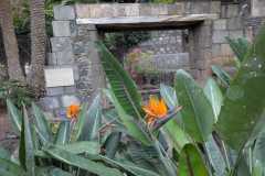IMG-20241227-WA0008