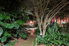 IMG-20241227-WA0040