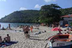 IMG-20250203-WA0013