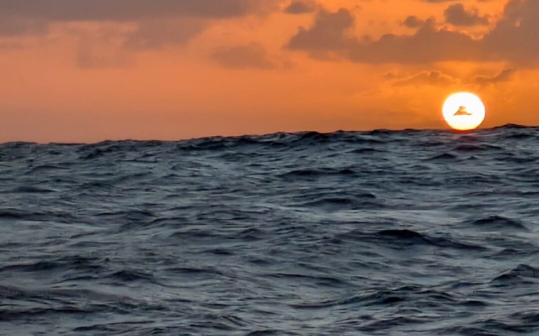 Journal d’une transatlantique